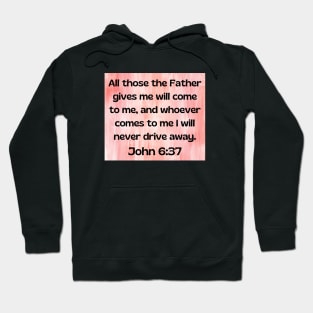 Bible Verse John 6:37 Hoodie